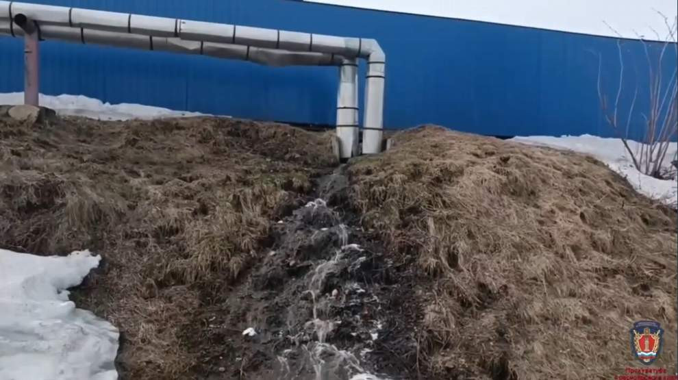 Красраб. Сибирский новостной портал