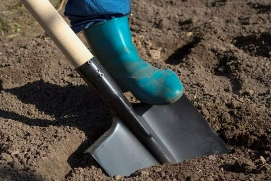 Красраб. Сибирский новостной портал