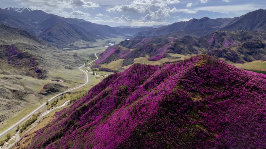 Красраб. Сибирский новостной портал