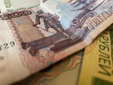 29 800 рублей внесли читатели в Фонд поддержки сайта 