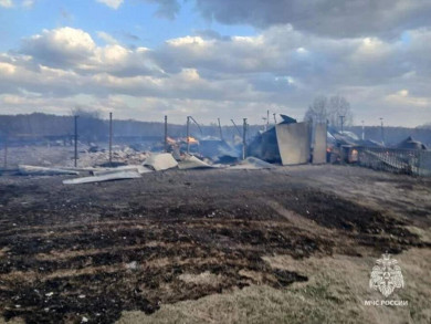 Причиной пожара в Томской области, уничтожившего 11 жилых домов, стал перехлёст проводов