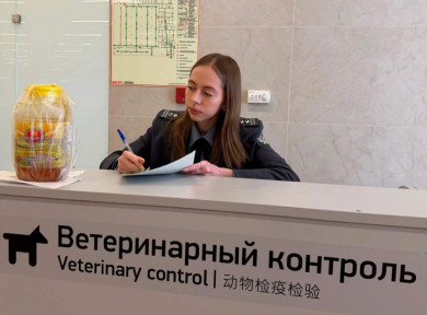 В аэропорту Красноярск в апреле уничтожили 108,8 килограмма мёда, молочной и мясной продукции
