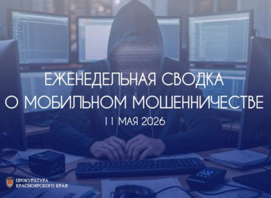 С начала года жертвами интернет-преступников стали 2 056 жителей Красноярского края