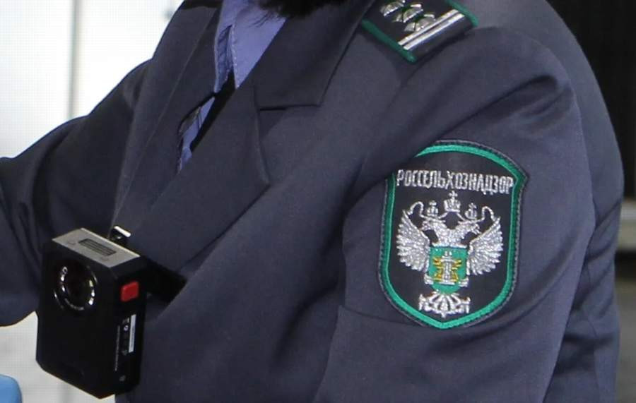 Красраб. Сибирский новостной портал