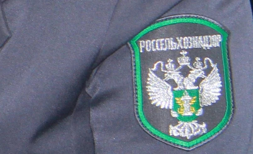 Красраб. Сибирский новостной портал