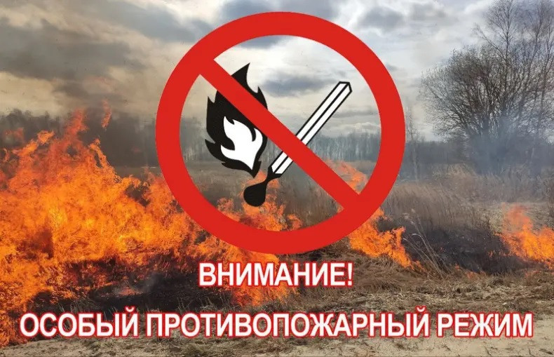 Красраб. Сибирский новостной портал