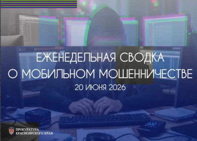 С начала года жители Красноярского края отдали мошенникам 1 миллиард 133 миллиона рублей
