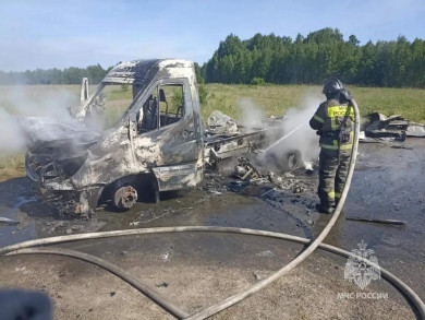 В пятницу, 19 июня, в Красноярском крае ликвидировали 14 пожаров