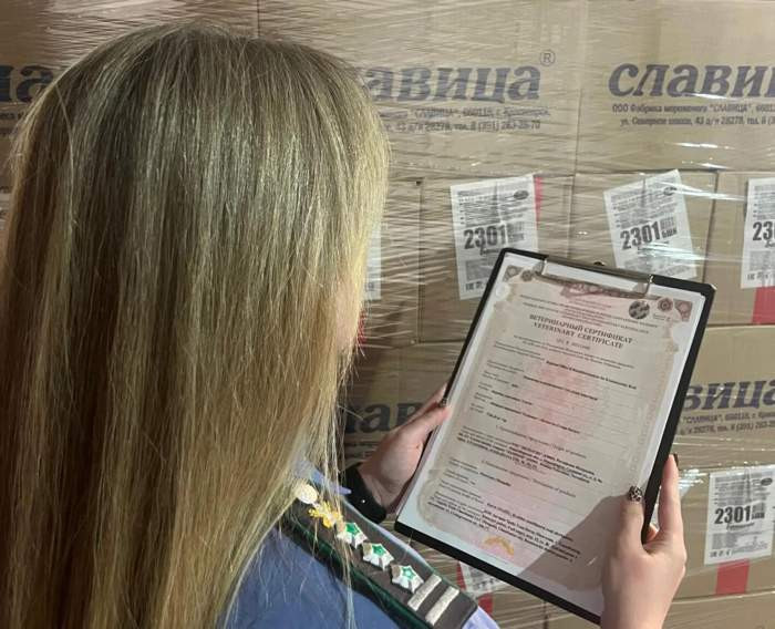 Красраб. Сибирский новостной портал