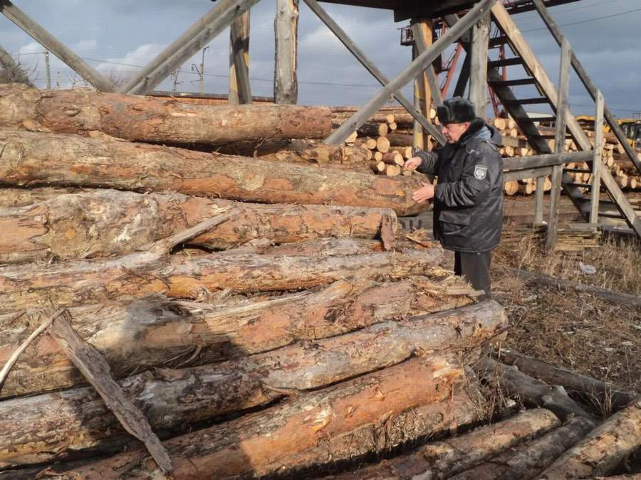 Красраб. Сибирский новостной портал