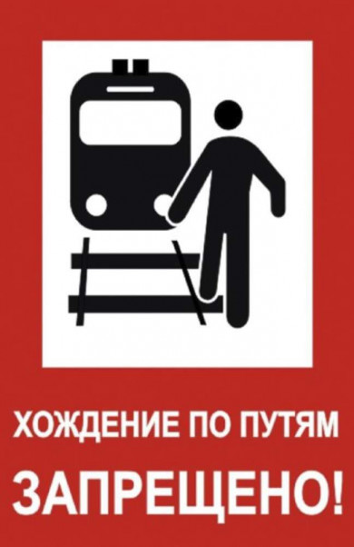 В Новосибирской области поездом смертельно травмирована 13-летняя девочка