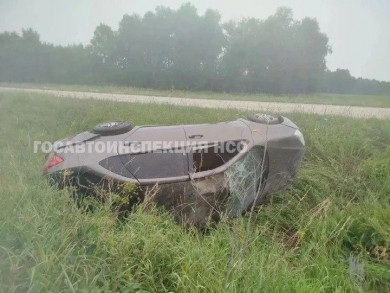 В Венгеровском районе Новосибирской области произошло ДТП с погибшим