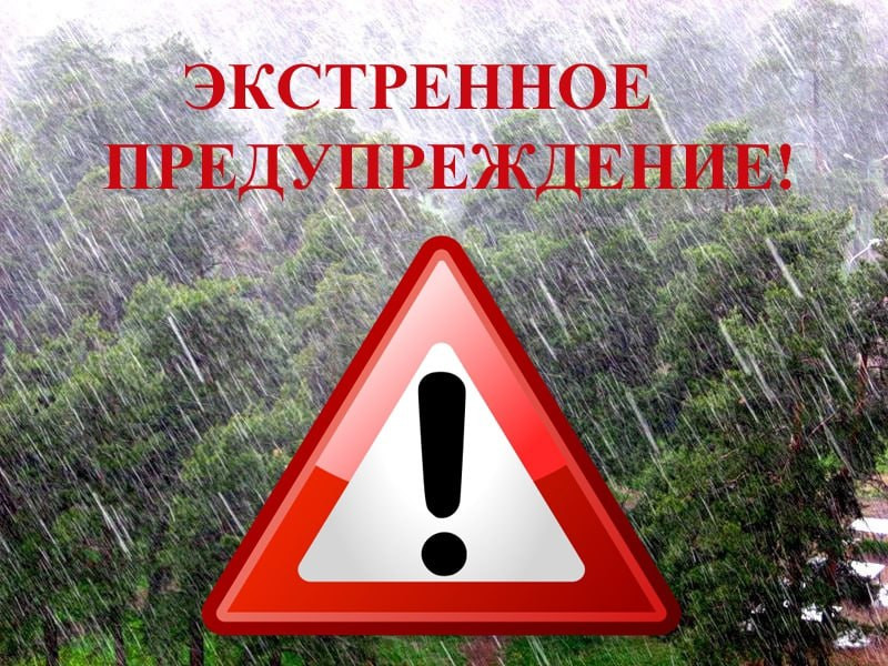 Красраб. Сибирский новостной портал
