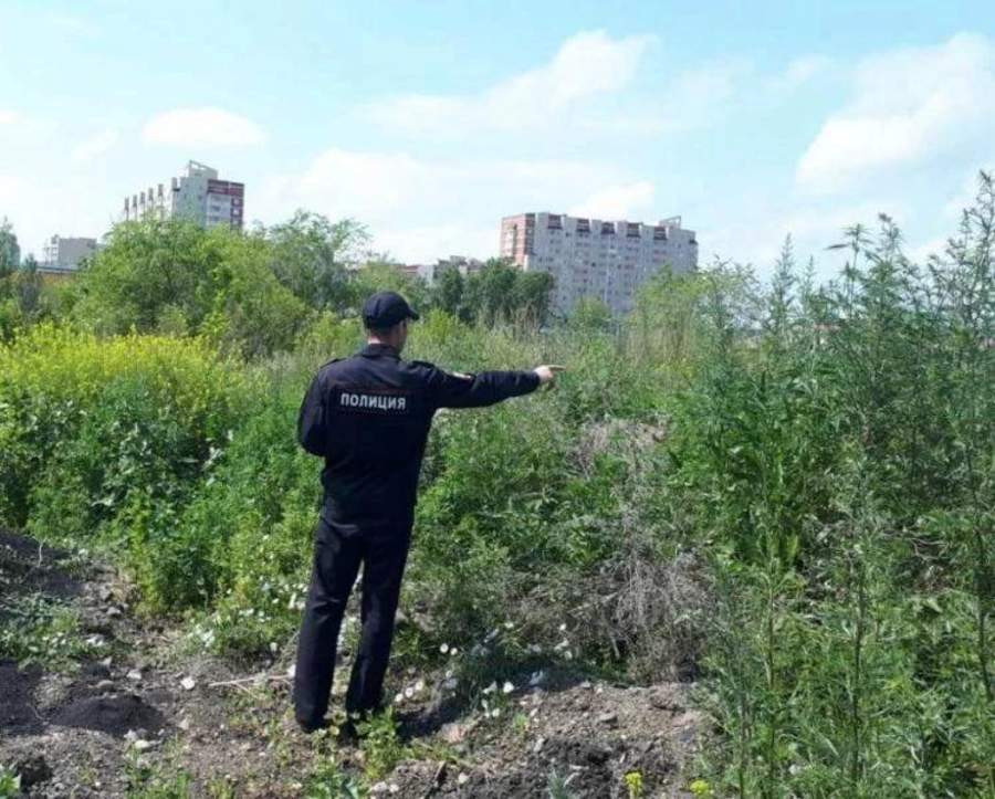 Красраб. Сибирский новостной портал