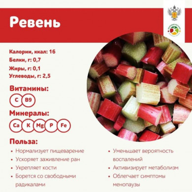 В управлении Роспотребнадзора напомнили, чем полезен и опасен ревень