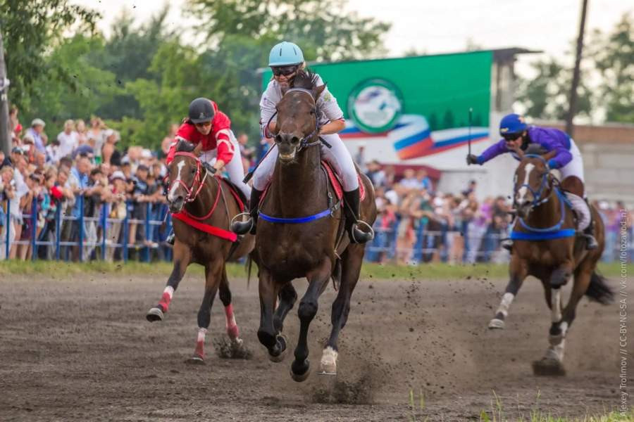 Красраб. Сибирский новостной портал