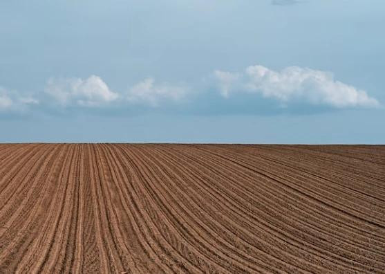 Красраб. Сибирский новостной портал