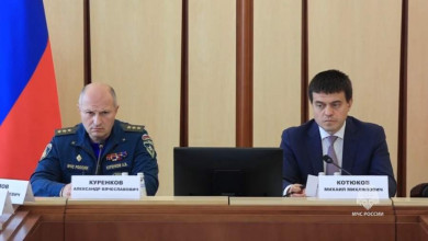 Глава МЧС России заслушал доклады о лесопожарной обстановке в Красноярском крае