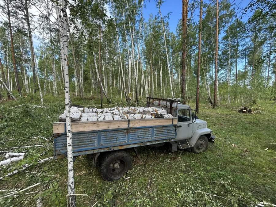 Красраб. Сибирский новостной портал