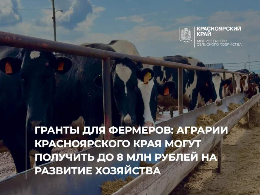 Красраб. Сибирский новостной портал