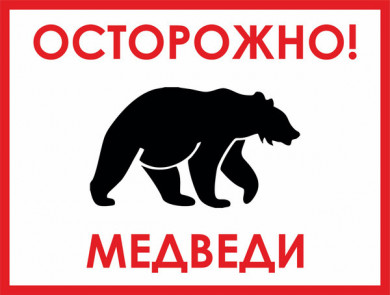 В Иркутской области медведь напал на сборщиков ягоды, задрал двоих и скрылся