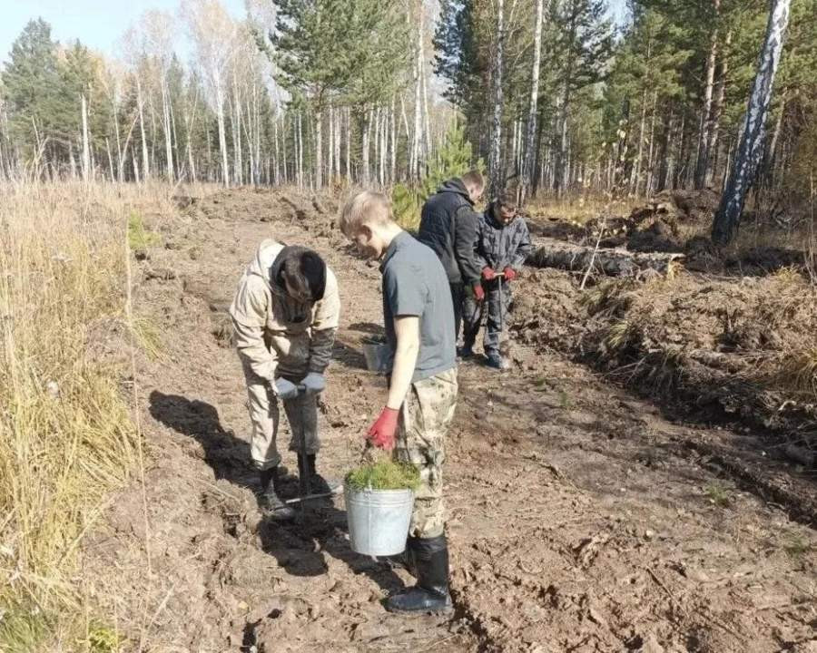 Красраб. Сибирский новостной портал