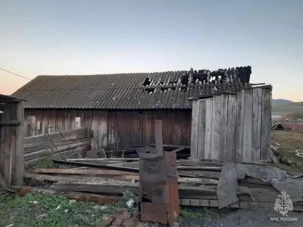 Красраб. Сибирский новостной портал