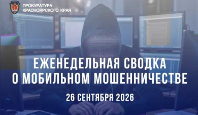 С начала года жертвами интернет-преступников стали 4 113 жителей Красноярского края