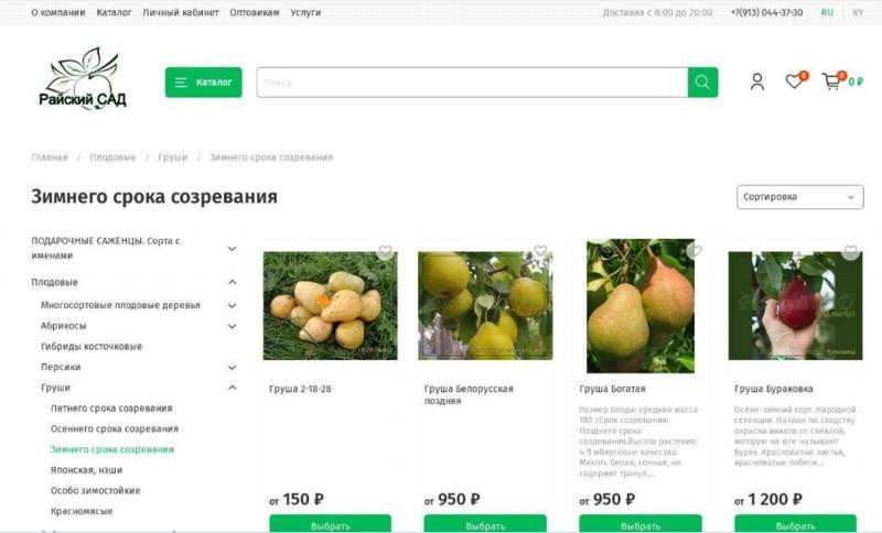 Красраб. Сибирский новостной портал