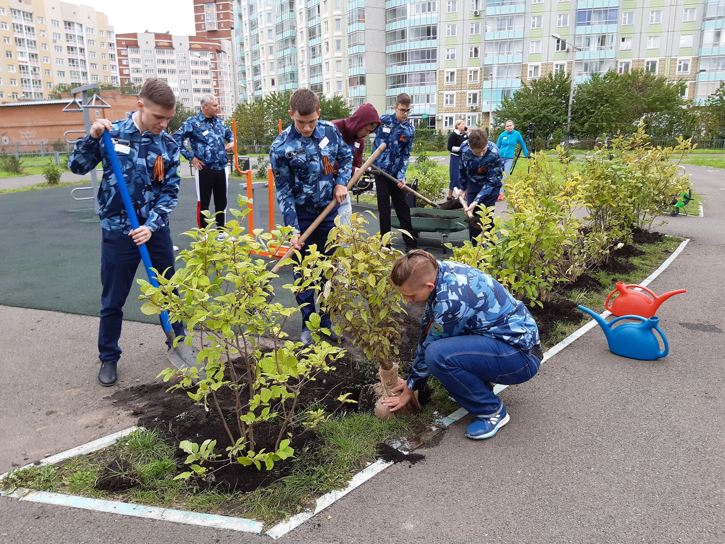 Школа кустарников. Сирень суворовец. Школа в кустах. Полетаевские кусты. Высадка кустов сирени ветеранами.