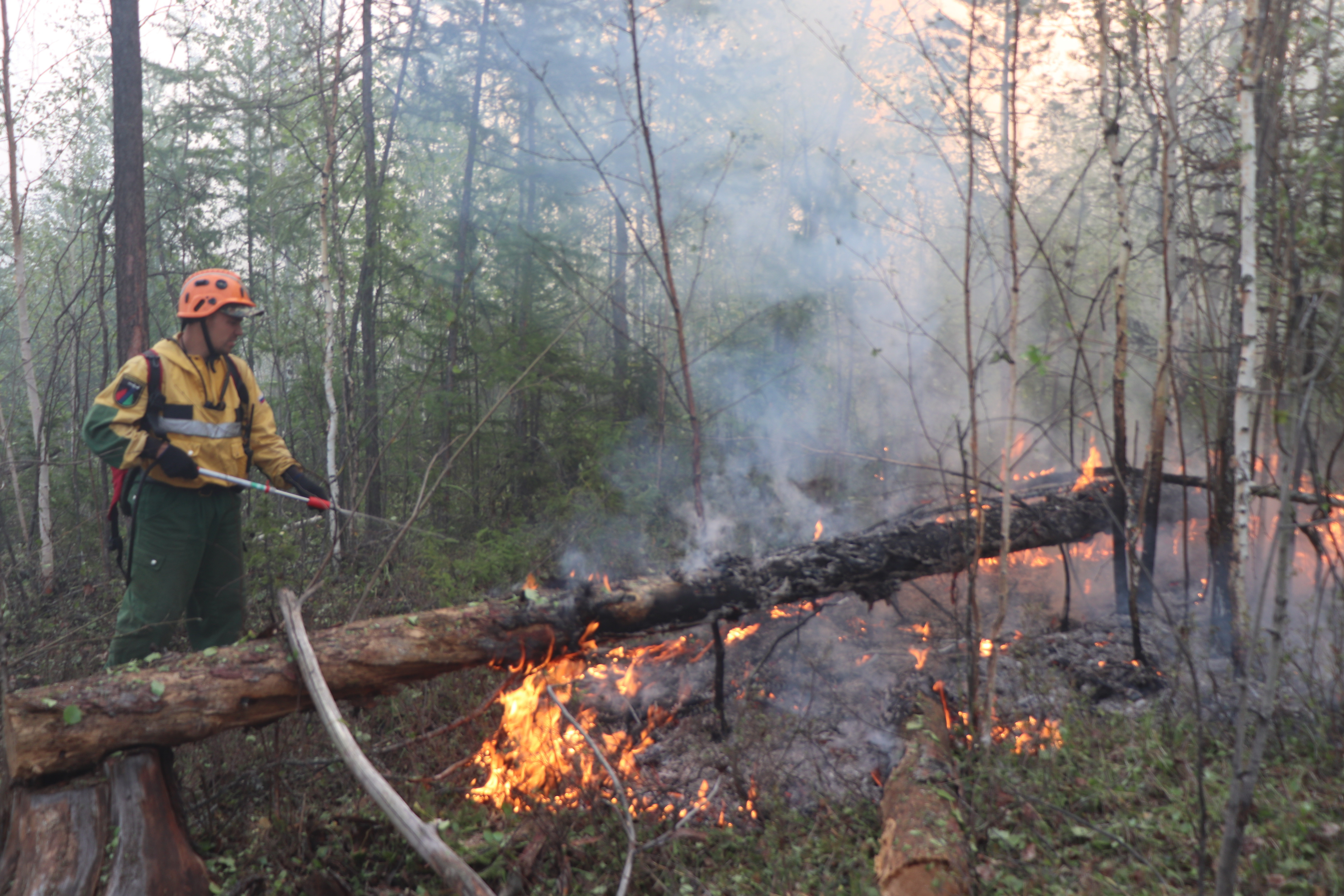 Лесные пожары в Красноярском крае 2020