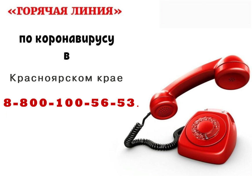 Wildberries Интернет Магазин Москва Телефон Горячая Линия