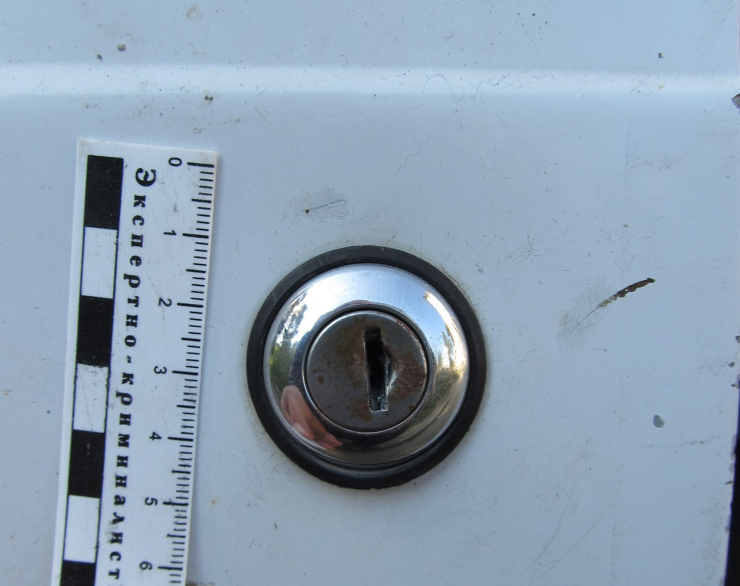 Красраб. Сибирский новостной портал