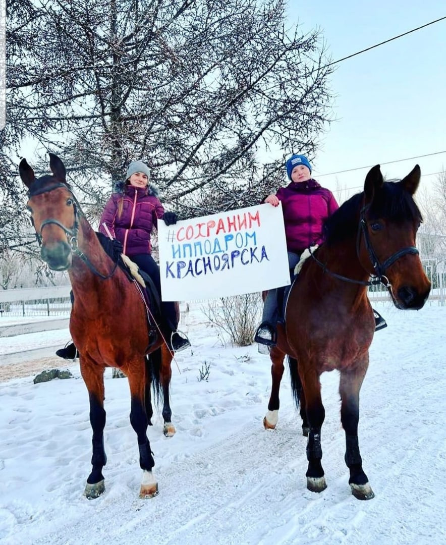 Сергей Ерёмин заявил, что на месте красноярского ипподрома не появятся  жилые дома. Красноярский рабочий