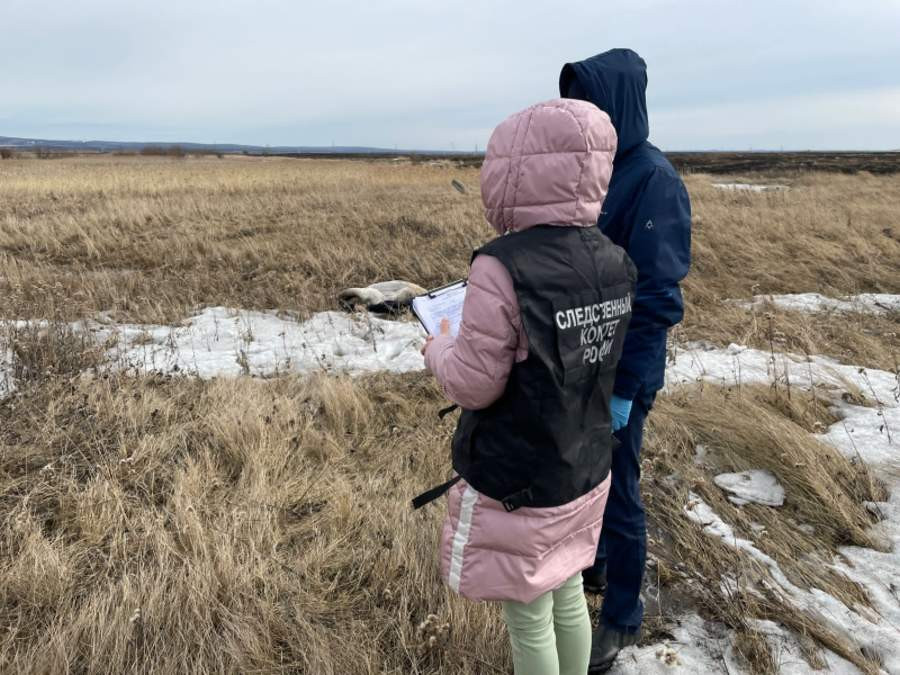 Ближайшие станции техобслуживания автомобилей