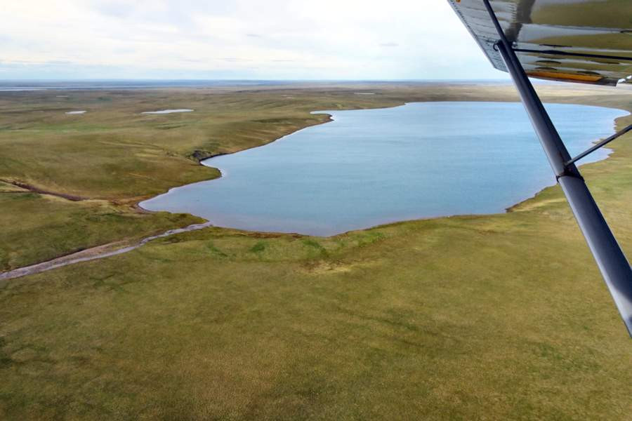 Длинной блистающей полосой тянется таймырское озеро. Озеро Таймыр. Озеро Тарей. Рыбы озера Таймыр. Таймыр Усть-Тарея.